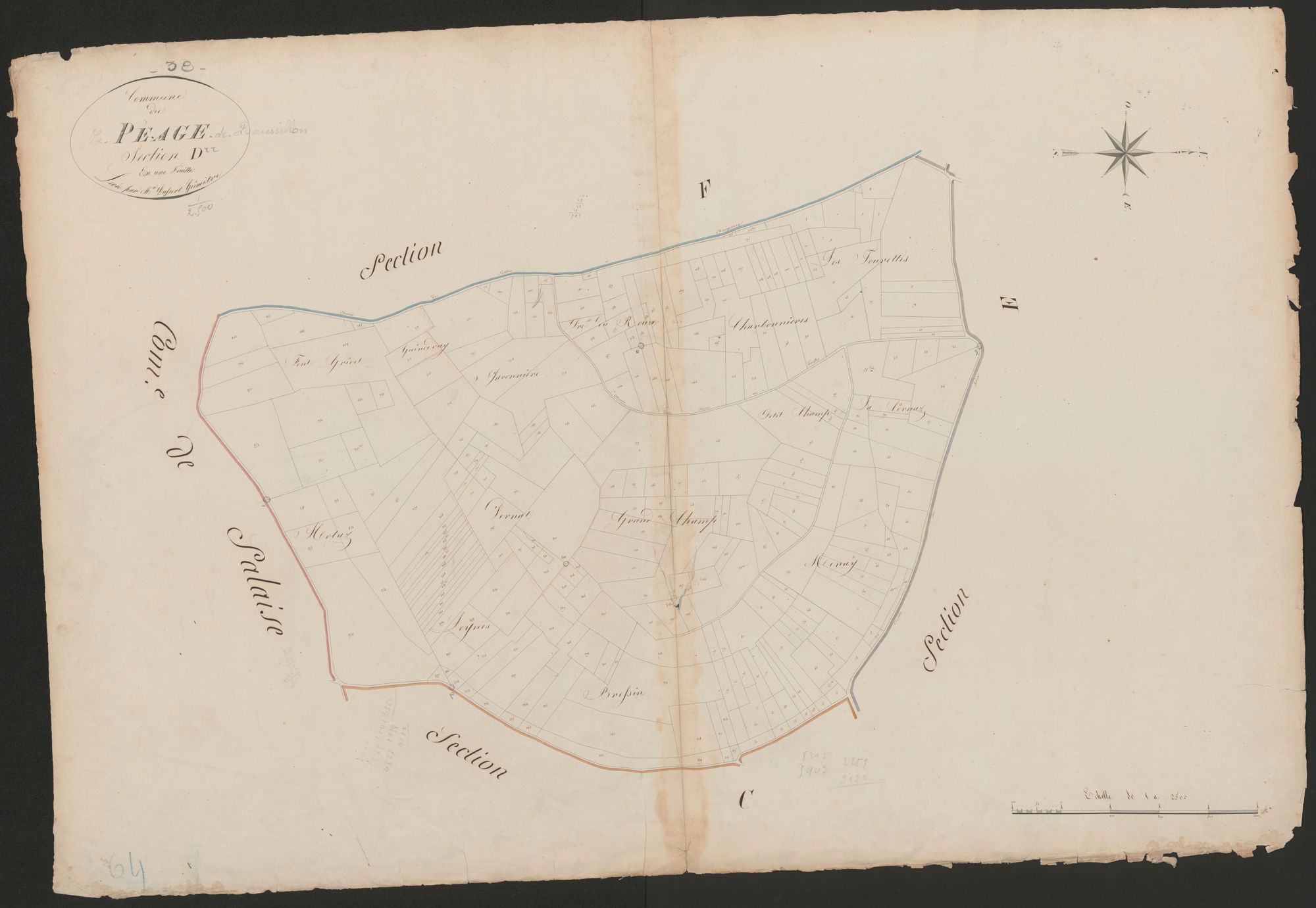 4P4/489 Section D