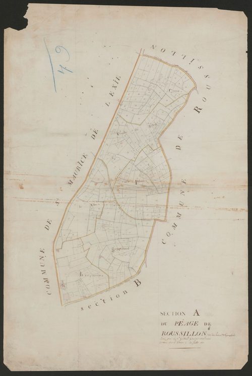 4P4/489 Section A