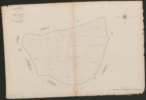 4P4/489 Section D