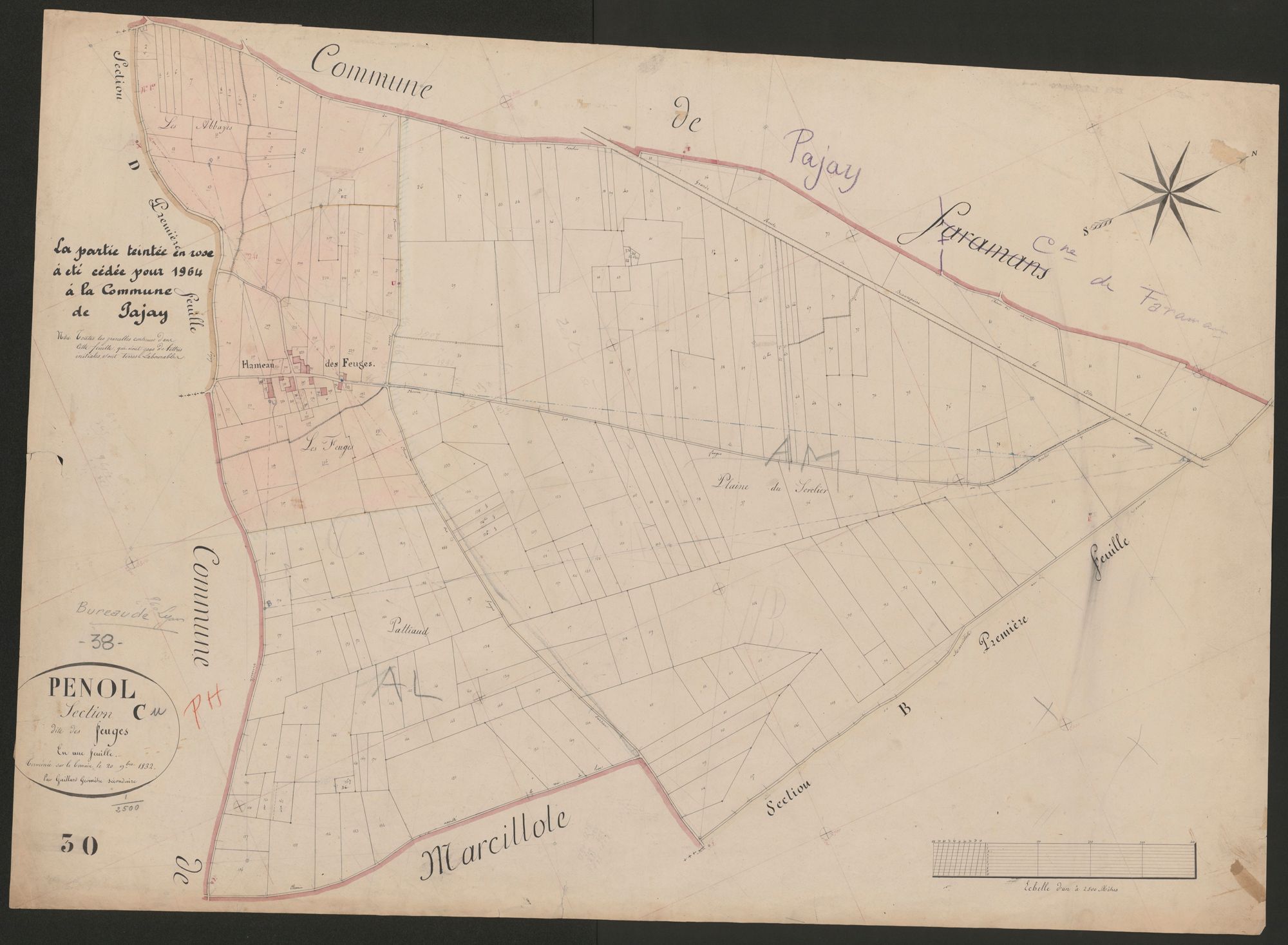 4P4/490 Section C