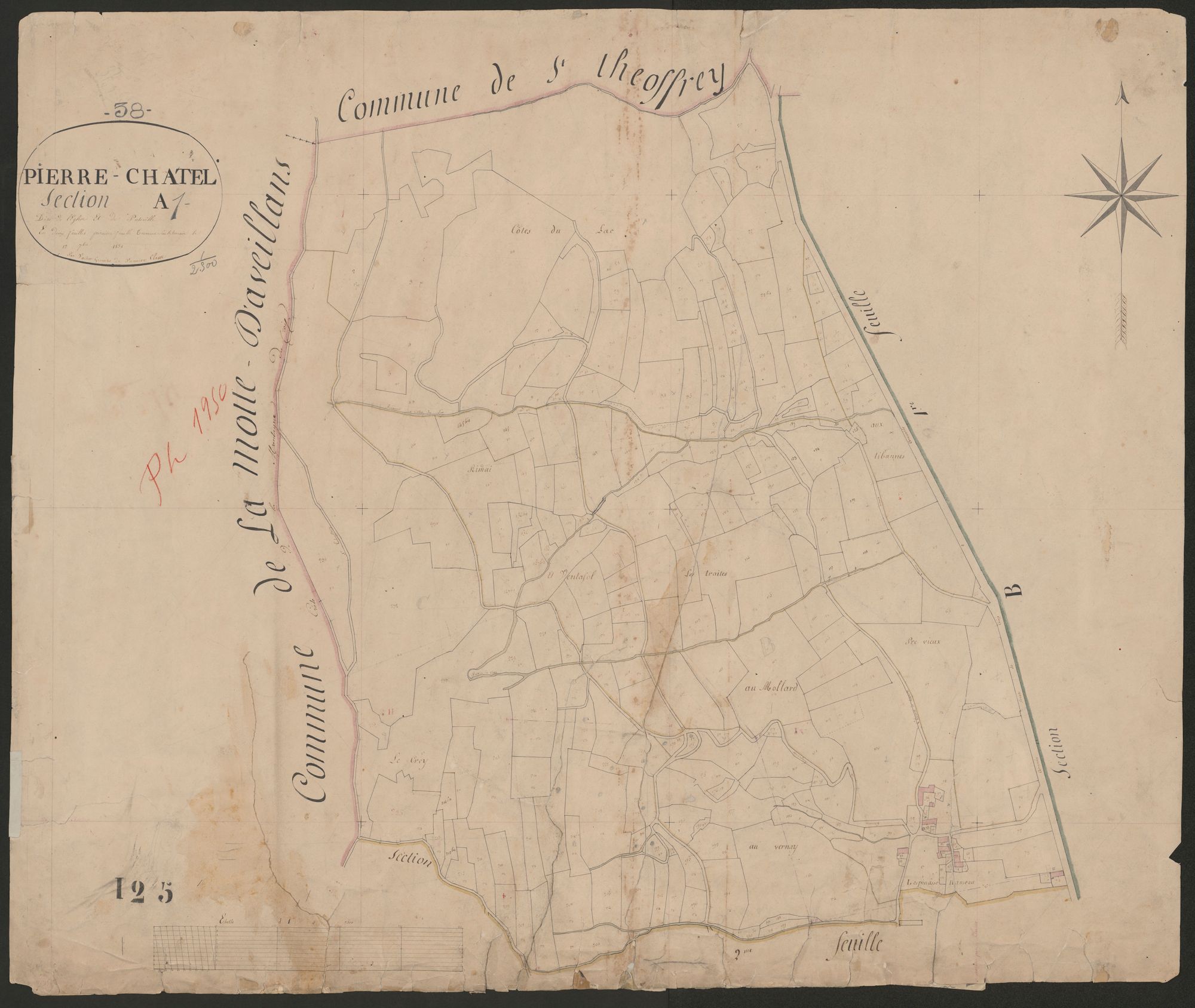 4P4/294 Section A