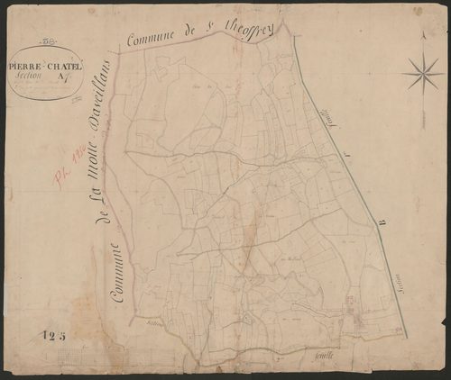 4P4/294 Section A