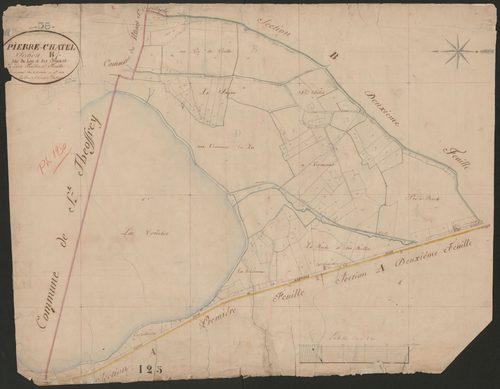 4P4/294 Section B