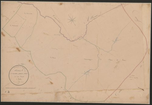 4P4/181 Section C