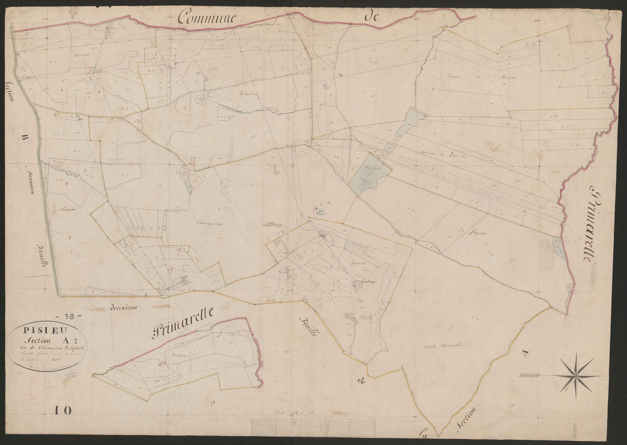 4P4/491 Section A