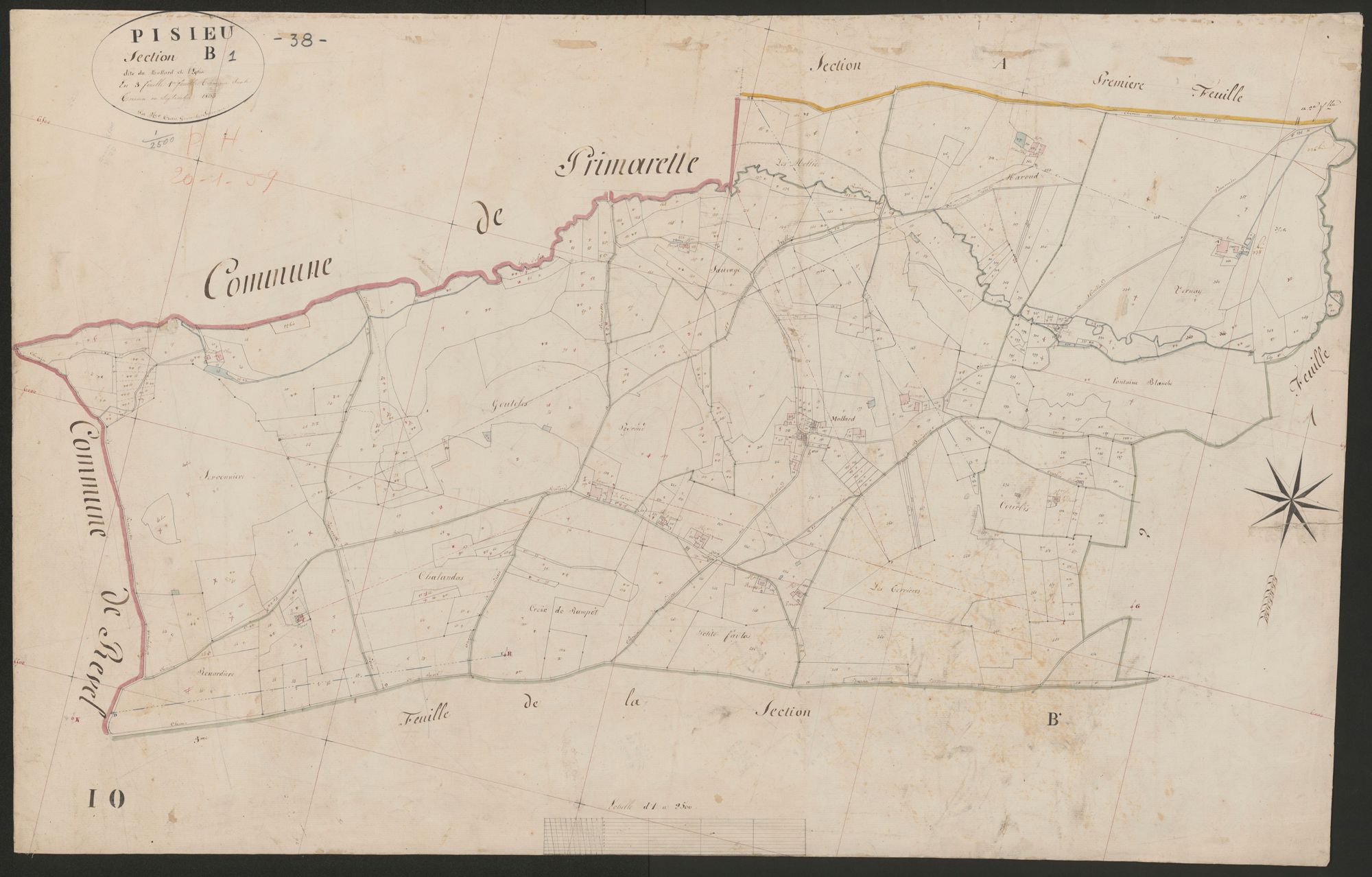 4P4/491 Section B