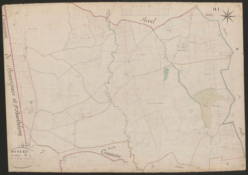 4P4/491 Section C