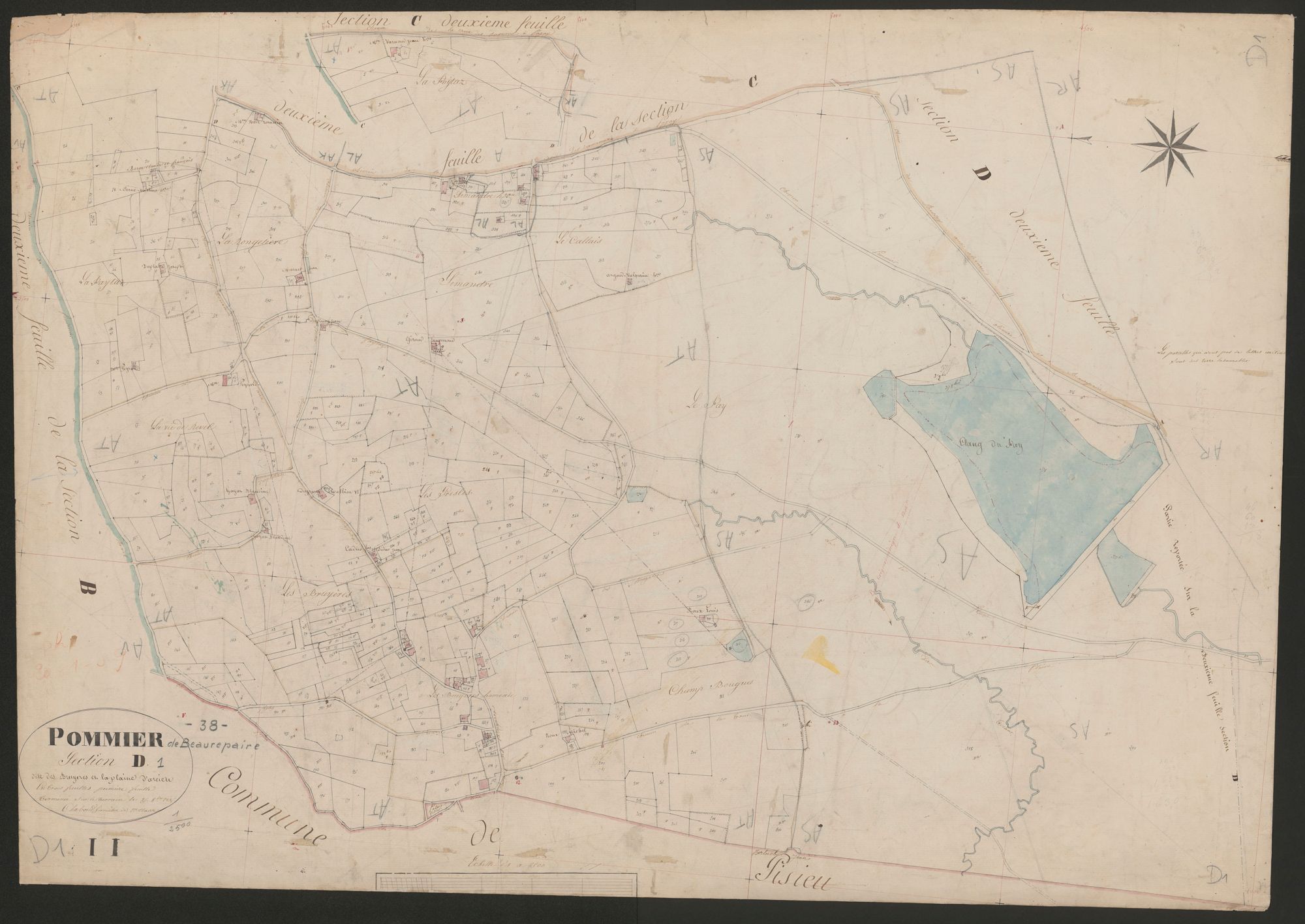 4P4/492 Section D