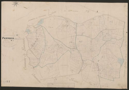4P4/492 Section B