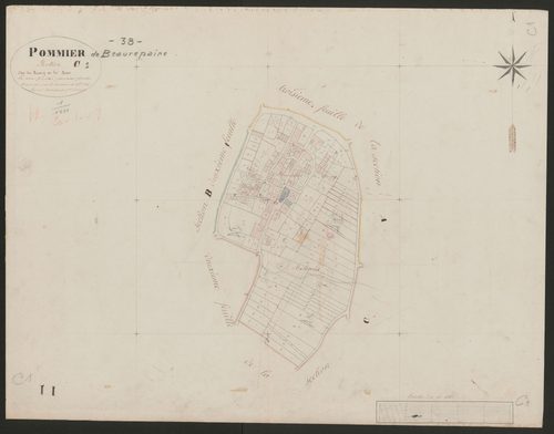 4P4/492 Section C