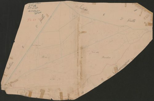 4P4/296 Section A