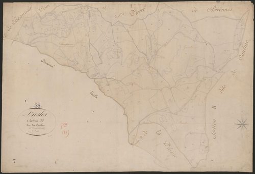 4P4/385 Section A