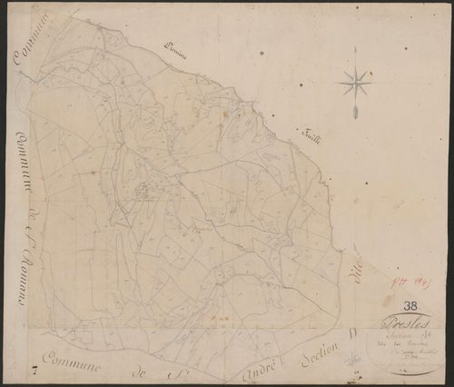 4P4/385 Section B