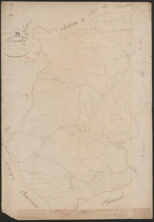 4P4/385 Section C