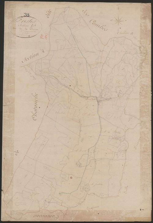4P4/385 Section D
