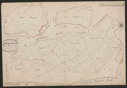 4P4/495 Section C