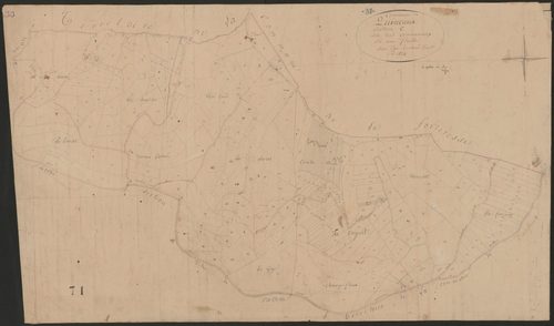4P4/386 Section C