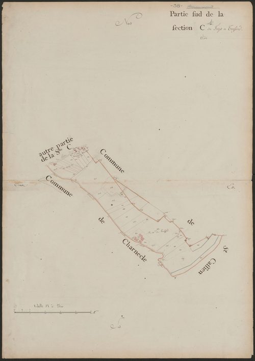 4P4/387 Section C