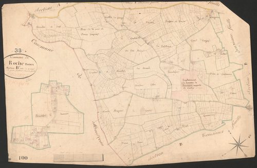 4P4/82 Section B