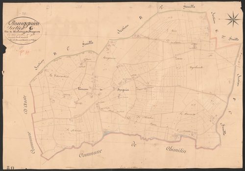 4P4/83 Section G