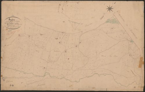 4P4/393 Section A