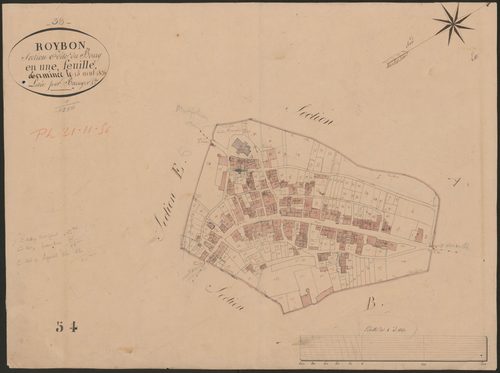 4P4/393 Section C