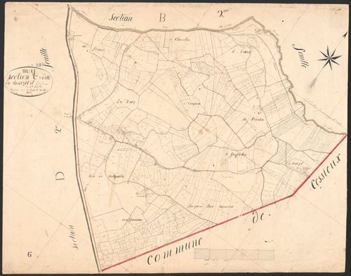 4P4/85 Section C