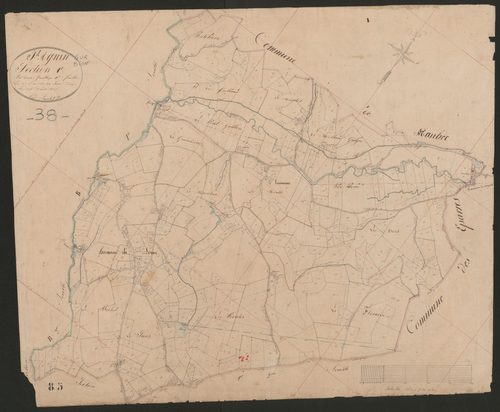 4P4/503 Section C