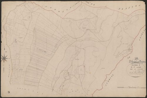 4P4/397 Section C