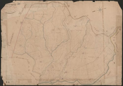4P4/398 Section C