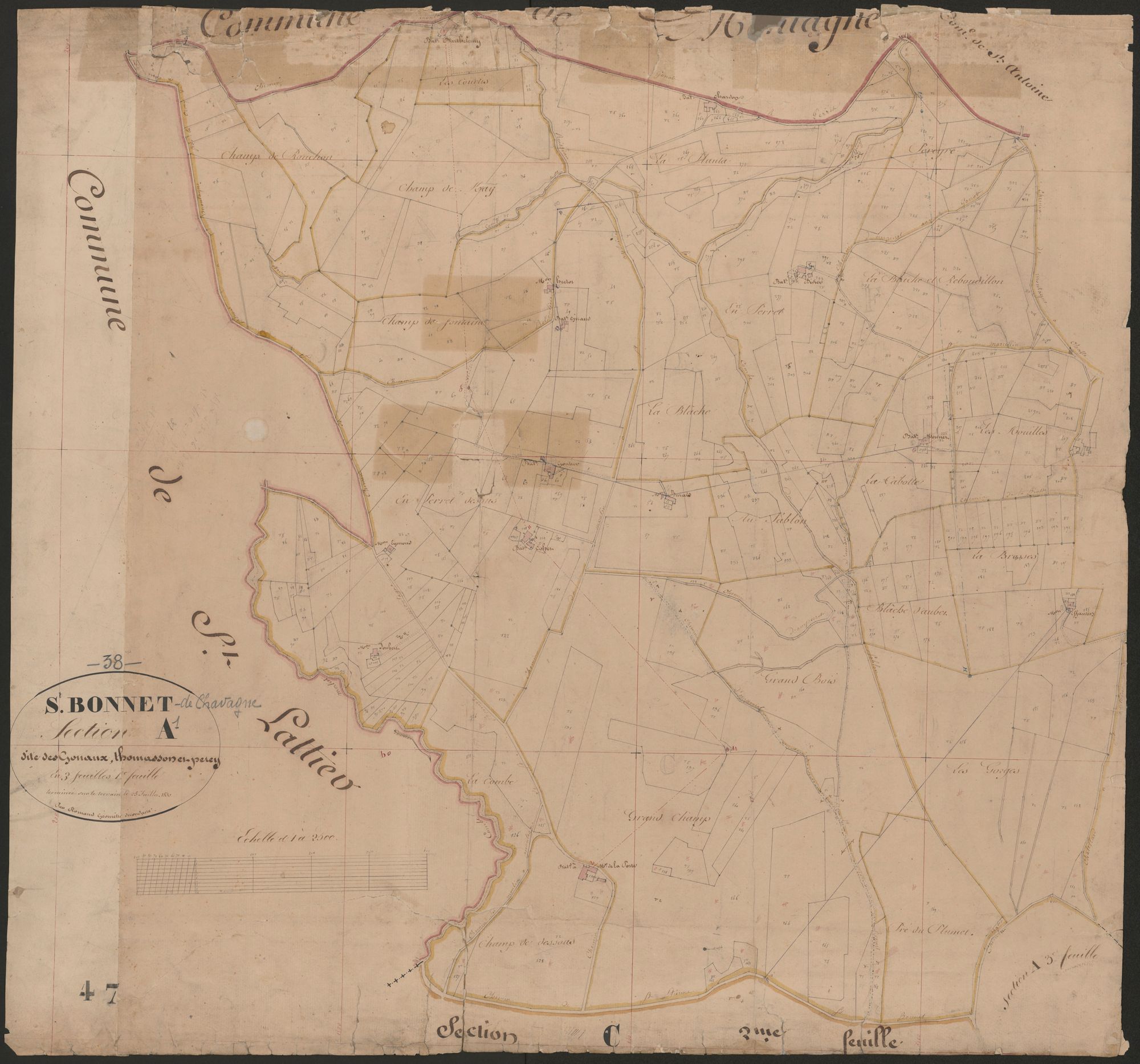 4P4/401 Section A
