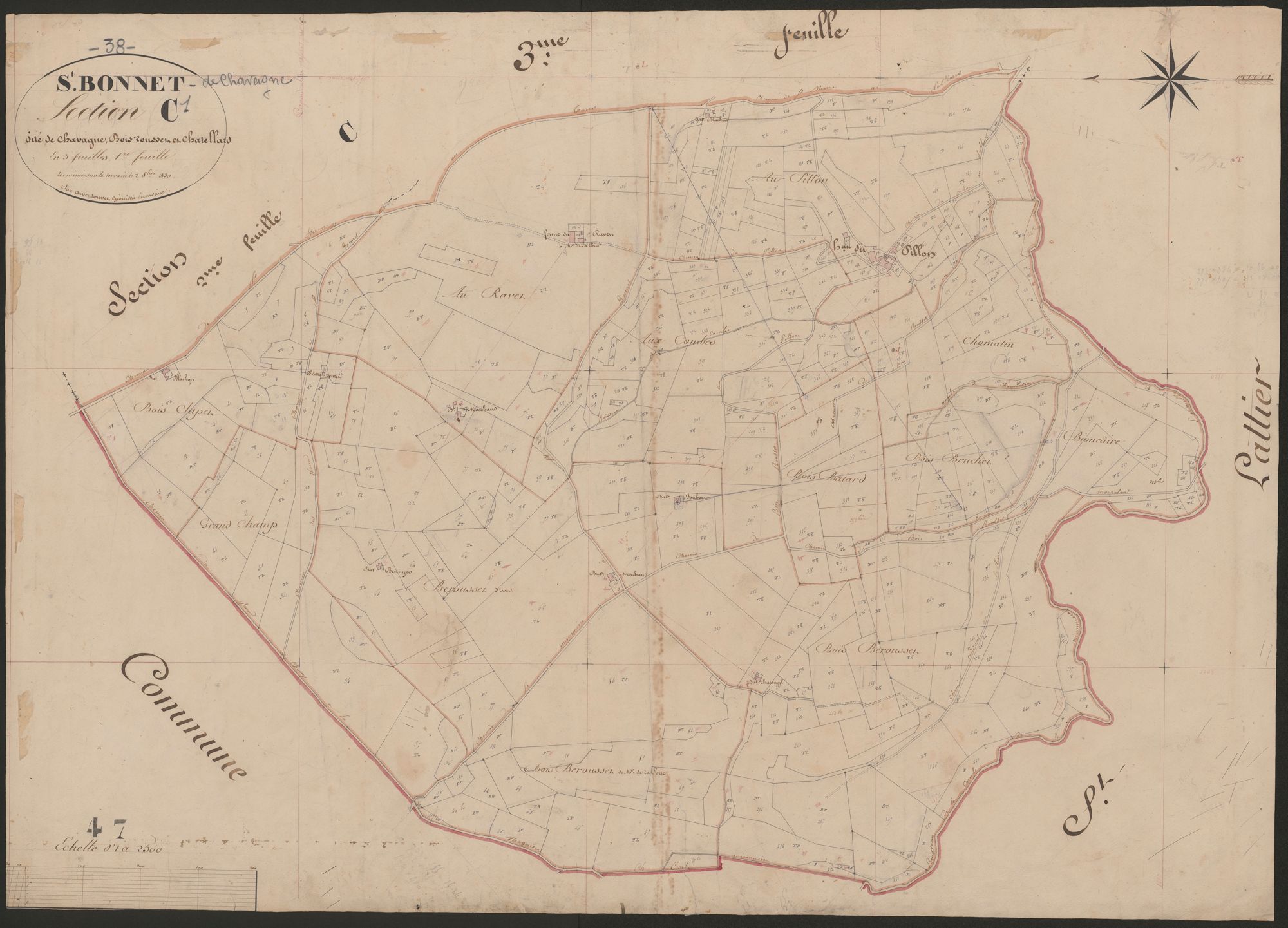 4P4/401 Section C