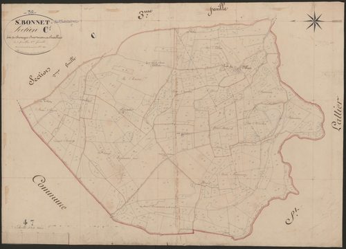4P4/401 Section C