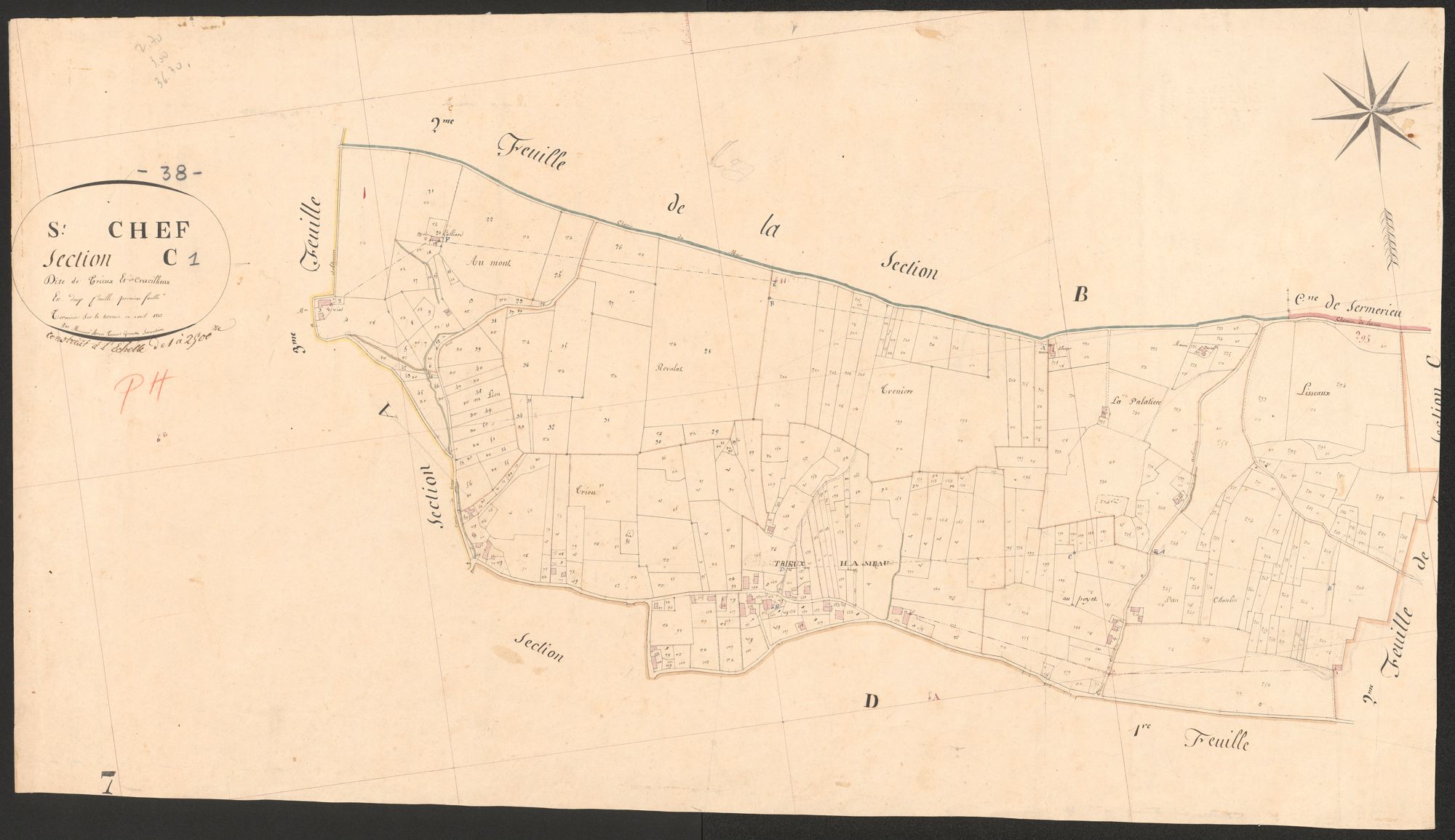 4P4/91 Section C