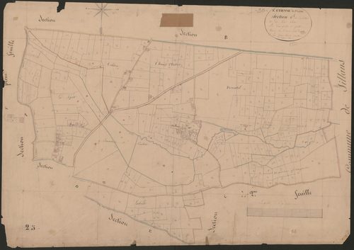 4P4/404 Section C