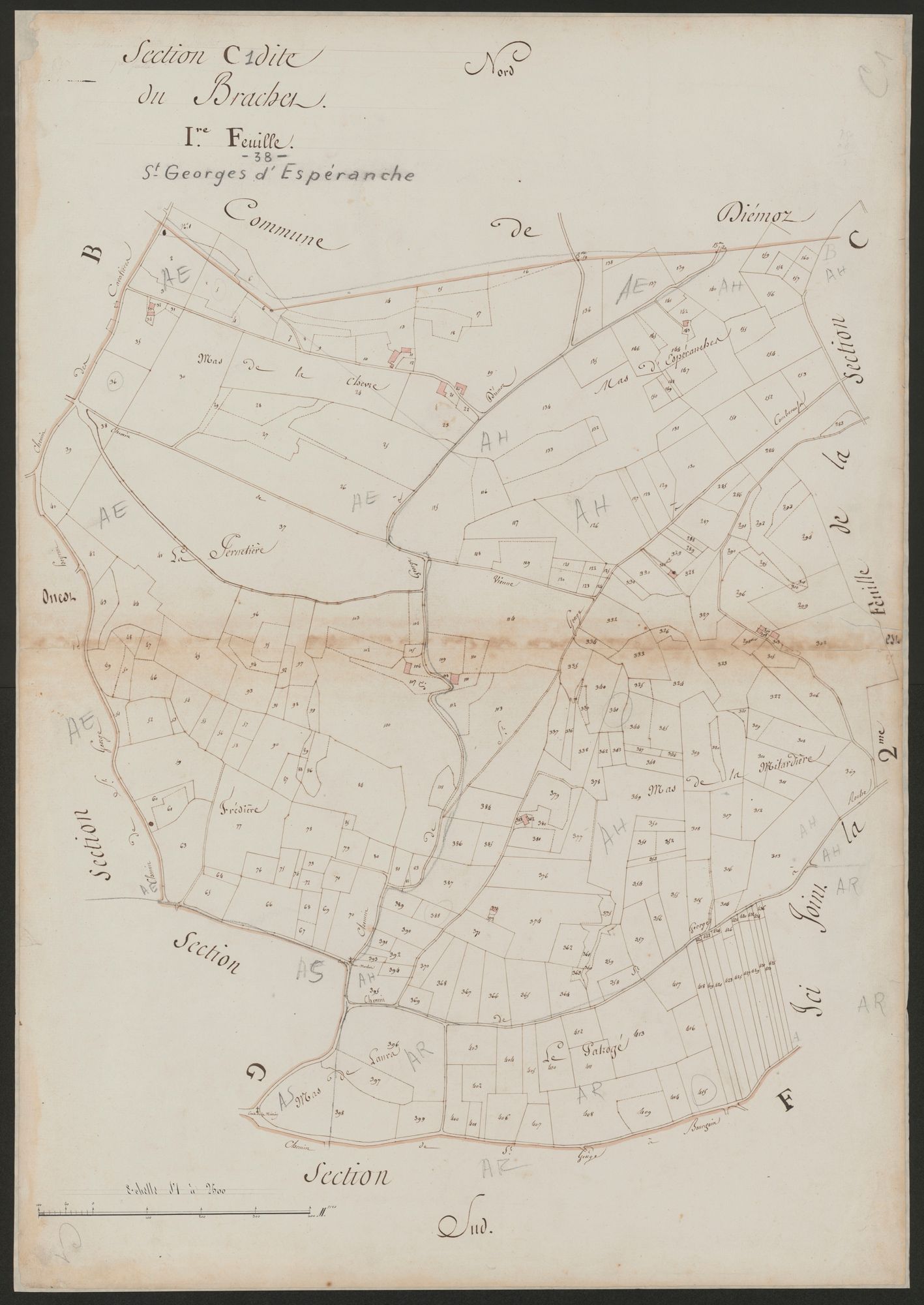 4P4/509 Section C