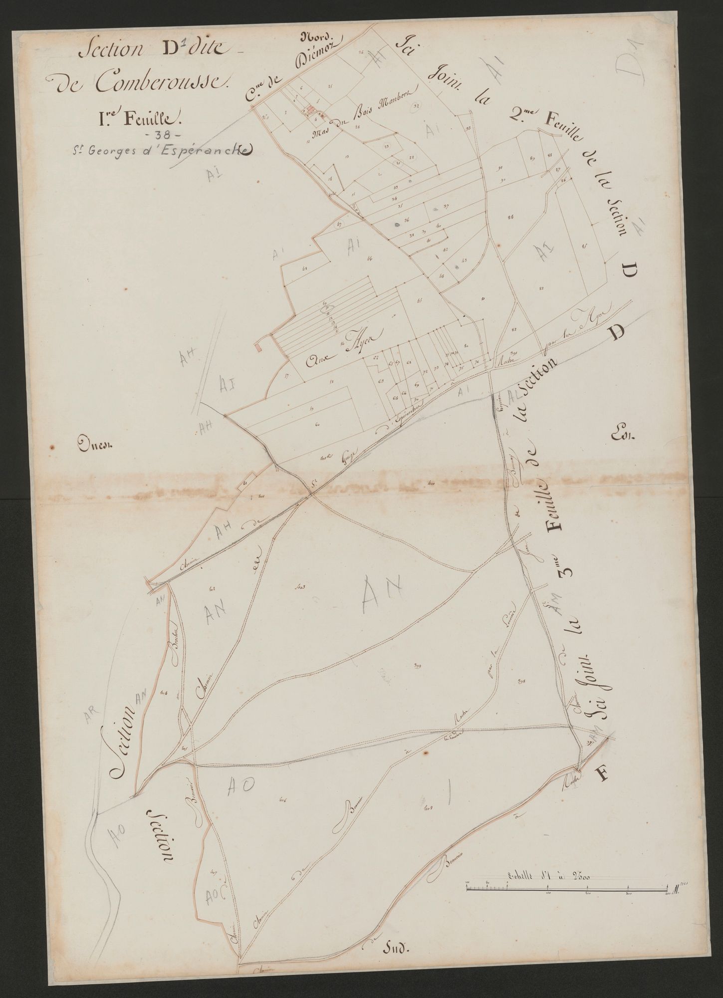 4P4/509 Section D