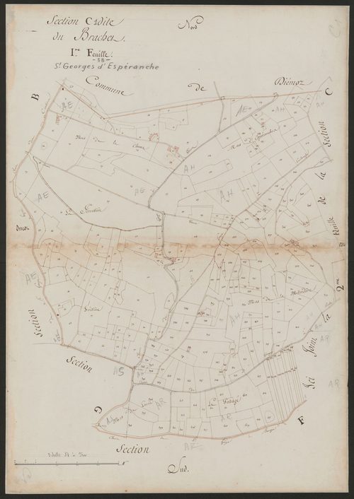 4P4/509 Section C