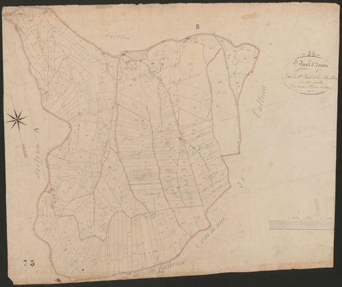 4P4/413 Section C