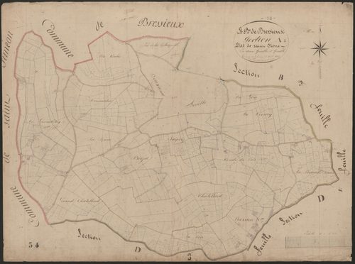 4P4/414 Section A
