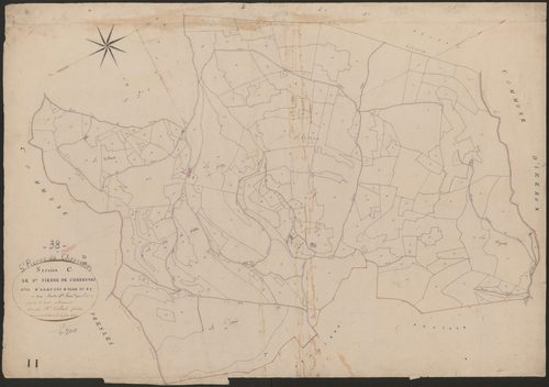 4P4/415 Section C
