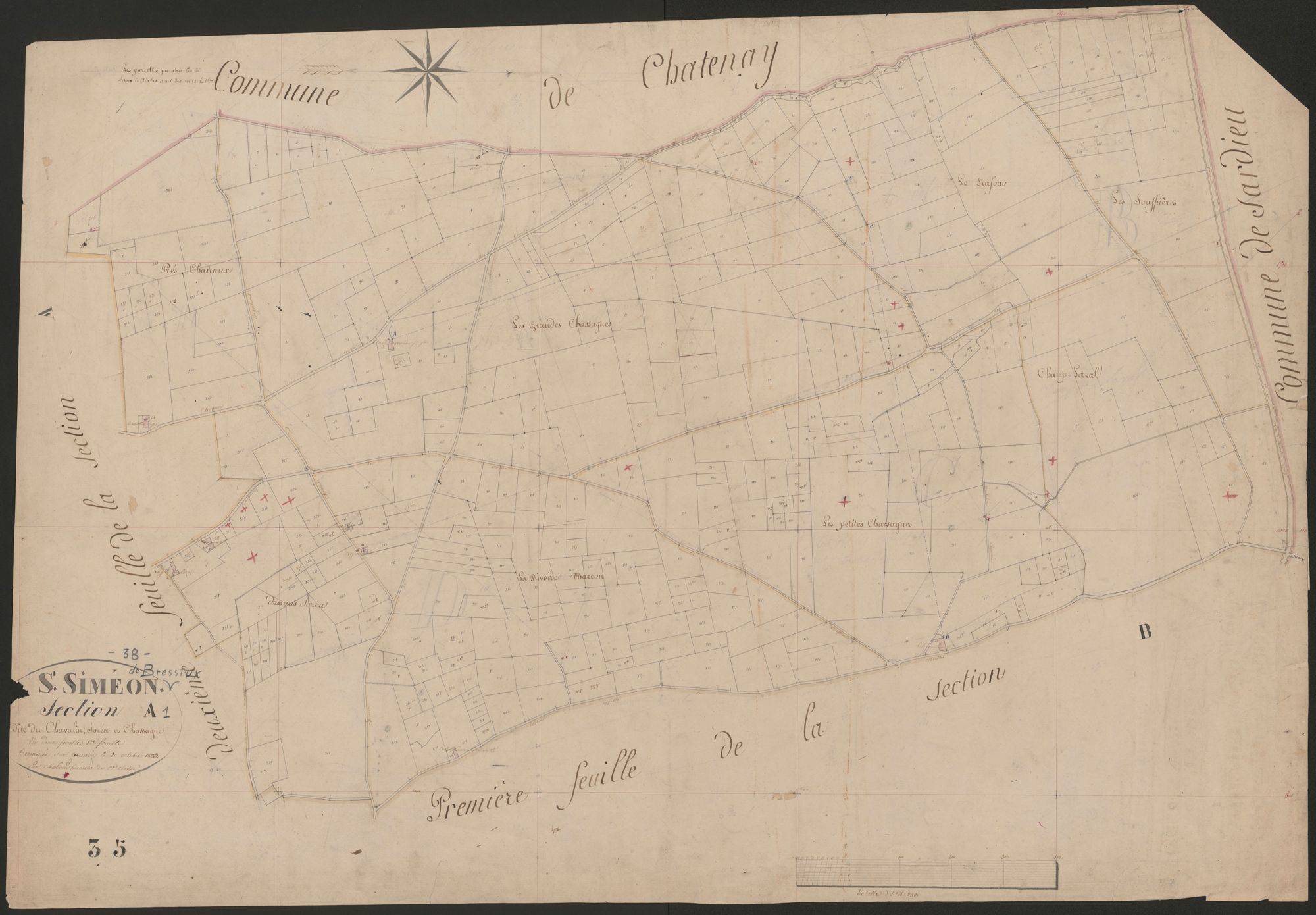 4P4/419 Section A