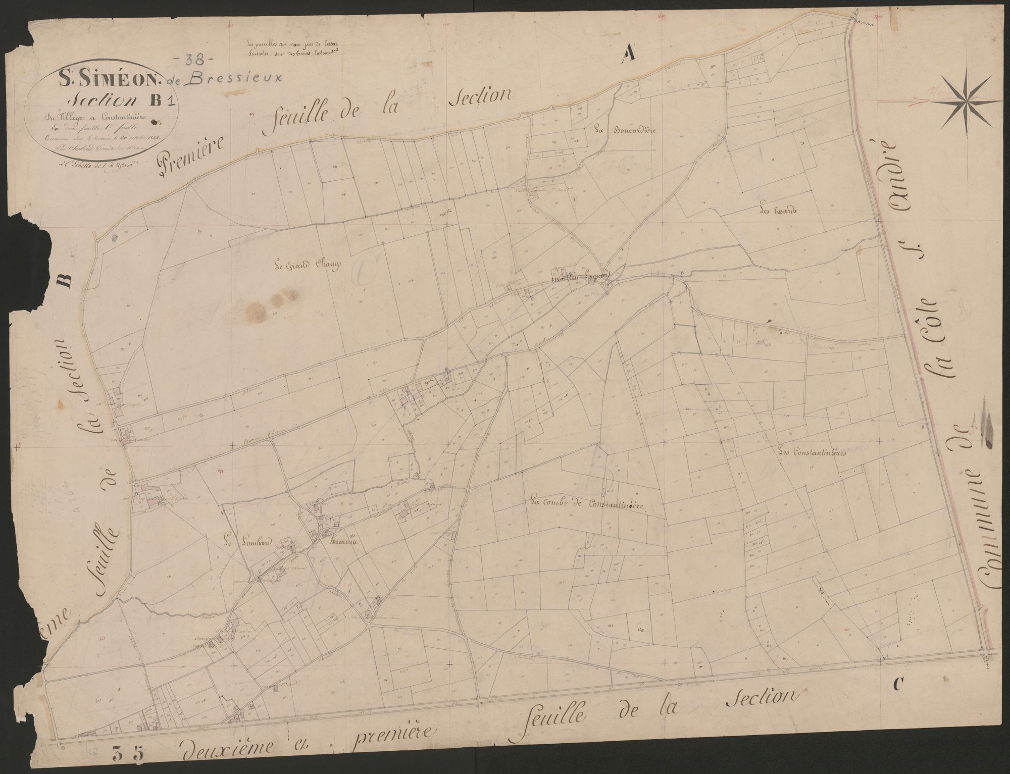4P4/419 Section B