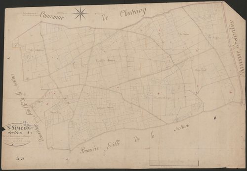 4P4/419 Section A