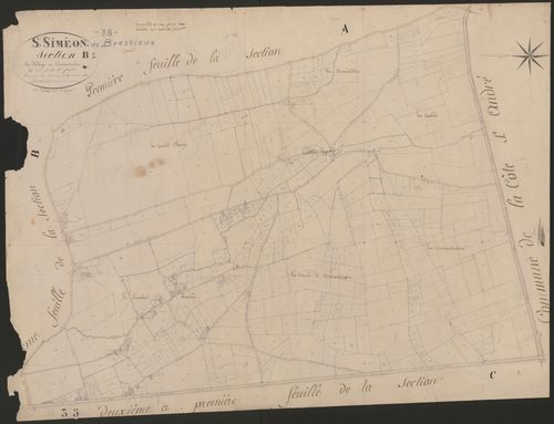 4P4/419 Section B