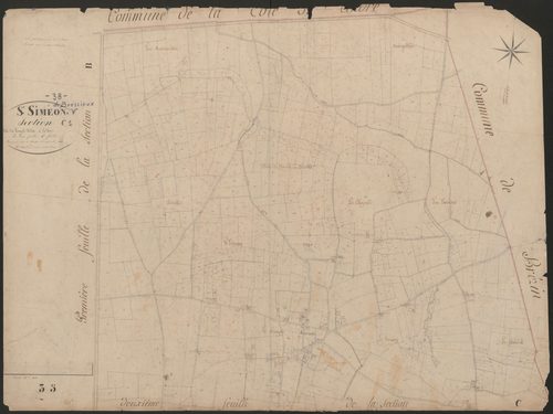 4P4/419 Section C
