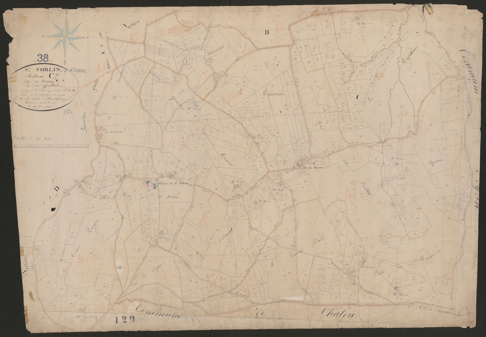 4P4/518 Section C