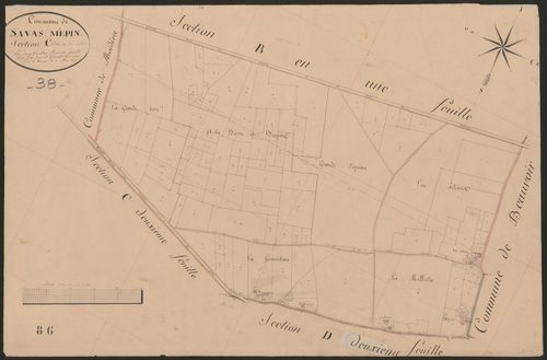 4P4/522 Section C