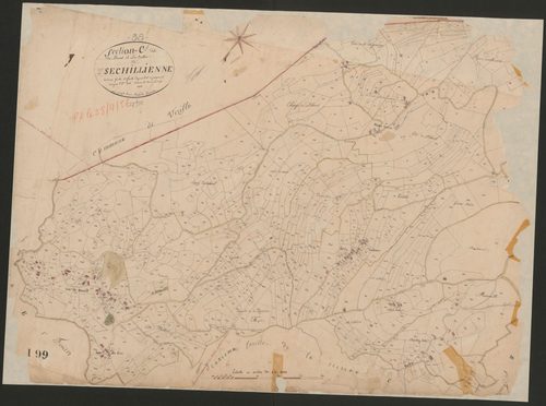 4P4/220 Section C