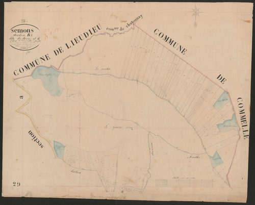4P4/523 Section B